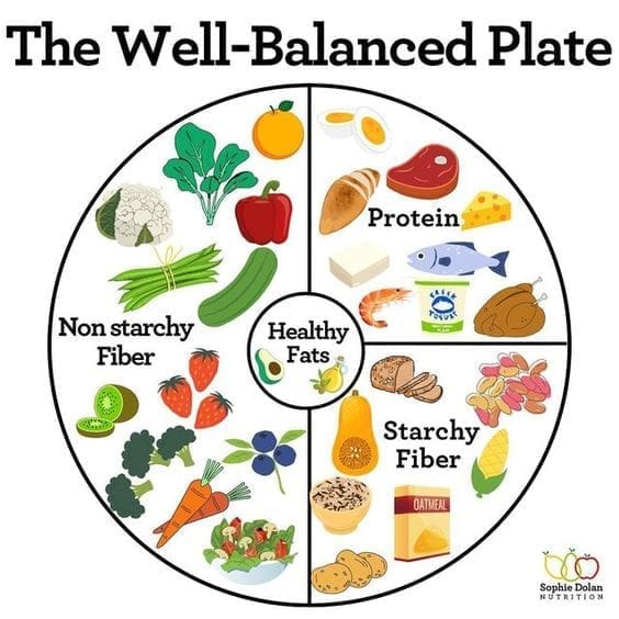 Infographics of Healthy food combinations that make a Balanced diet